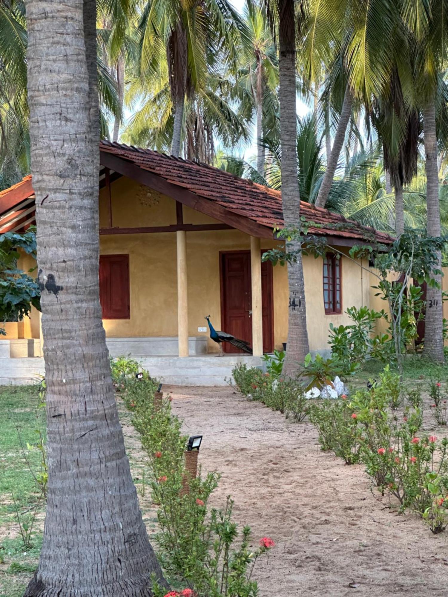Kitelantis Hotel And Resort Kalpitiya Eksteriør bilde