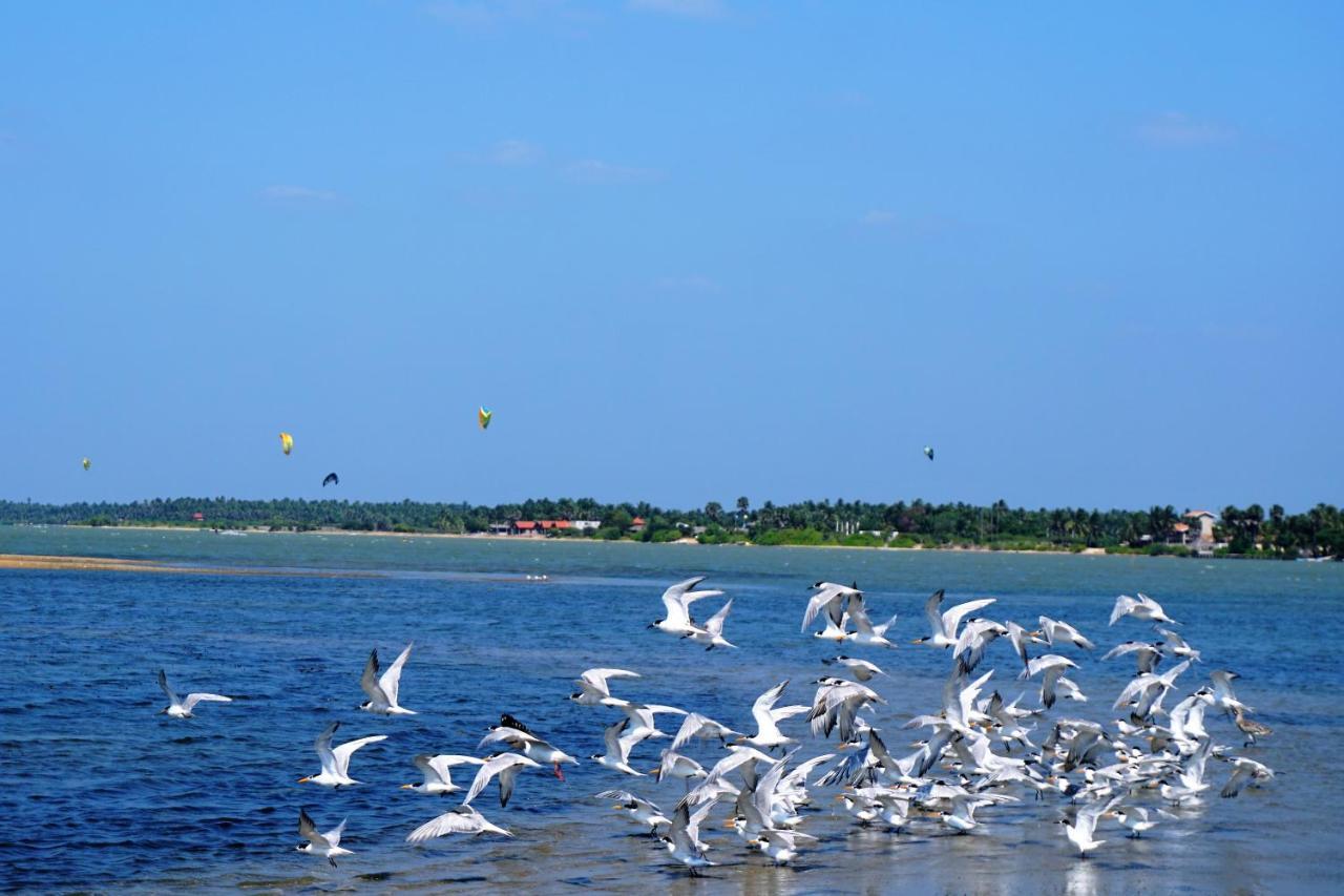 Kitelantis Hotel And Resort Kalpitiya Eksteriør bilde